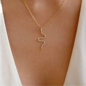 Snake Chain Necklace